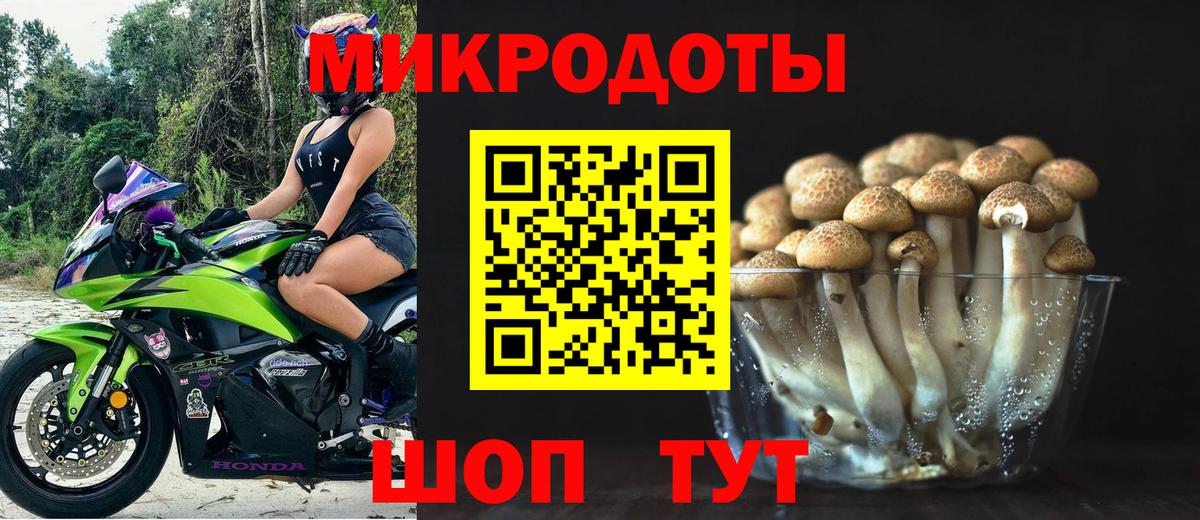 Псилоцибиновые грибы MAGIC MUSHROOMS  хочу   Буйнакск  Вход с VPN 