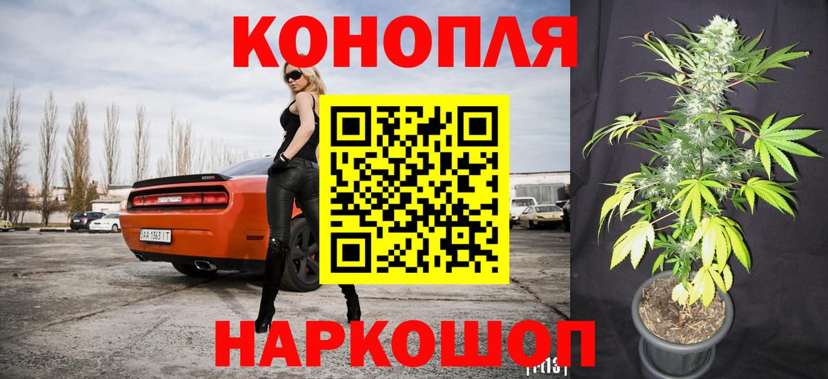 МАРИХУАНА SATIVA & INDICA Буйнакск